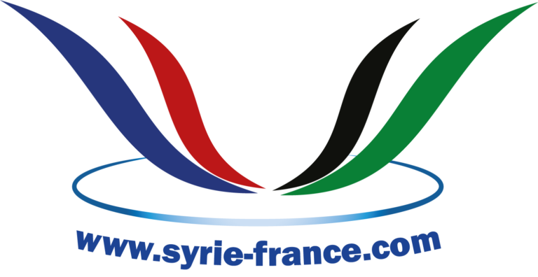 لوغو الفرنسي