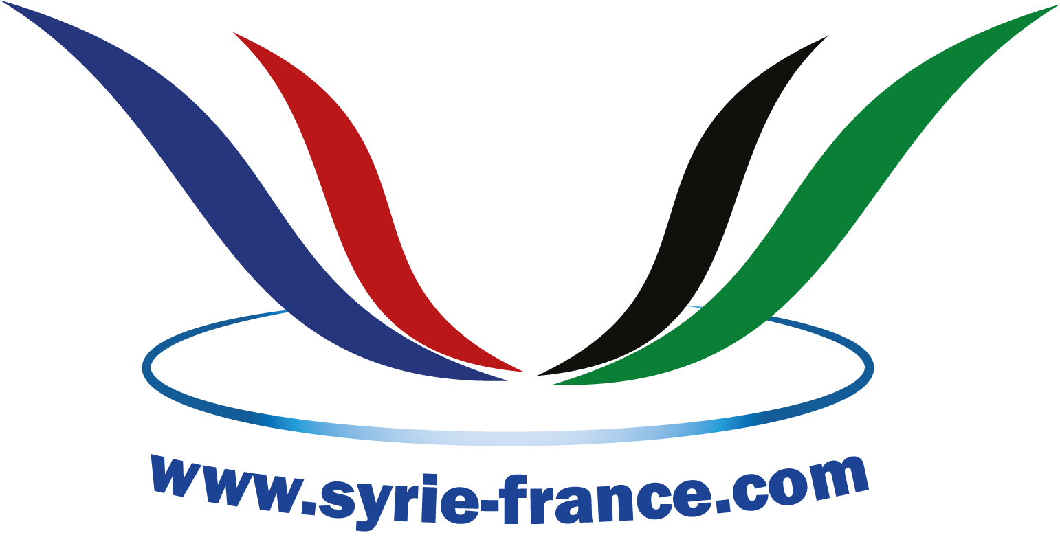 لوغو الفرنسي